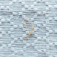 earring hook