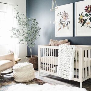 Olive Trees are the new Fiddle Leaf Fig - Chris Loves Julia