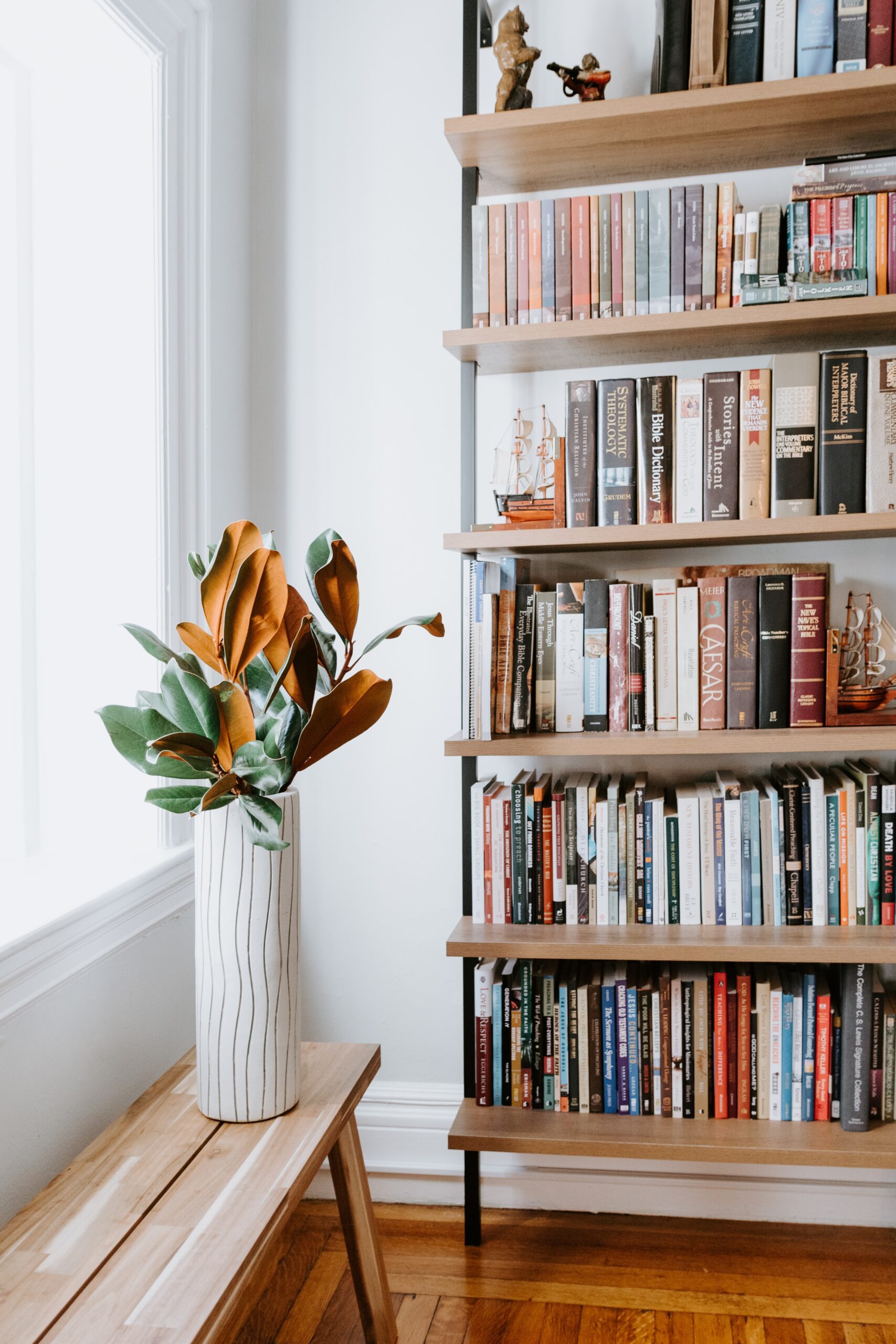 bookshelf of books that should be made into movies